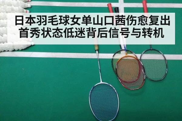 badminton match court