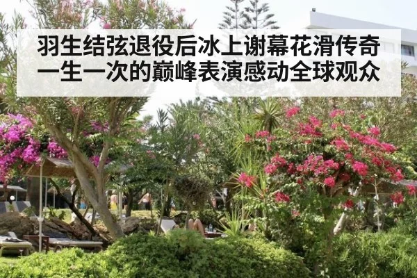 羽生结弦退役后冰上谢幕花滑传奇一生一次的巅峰表演感动全球观众